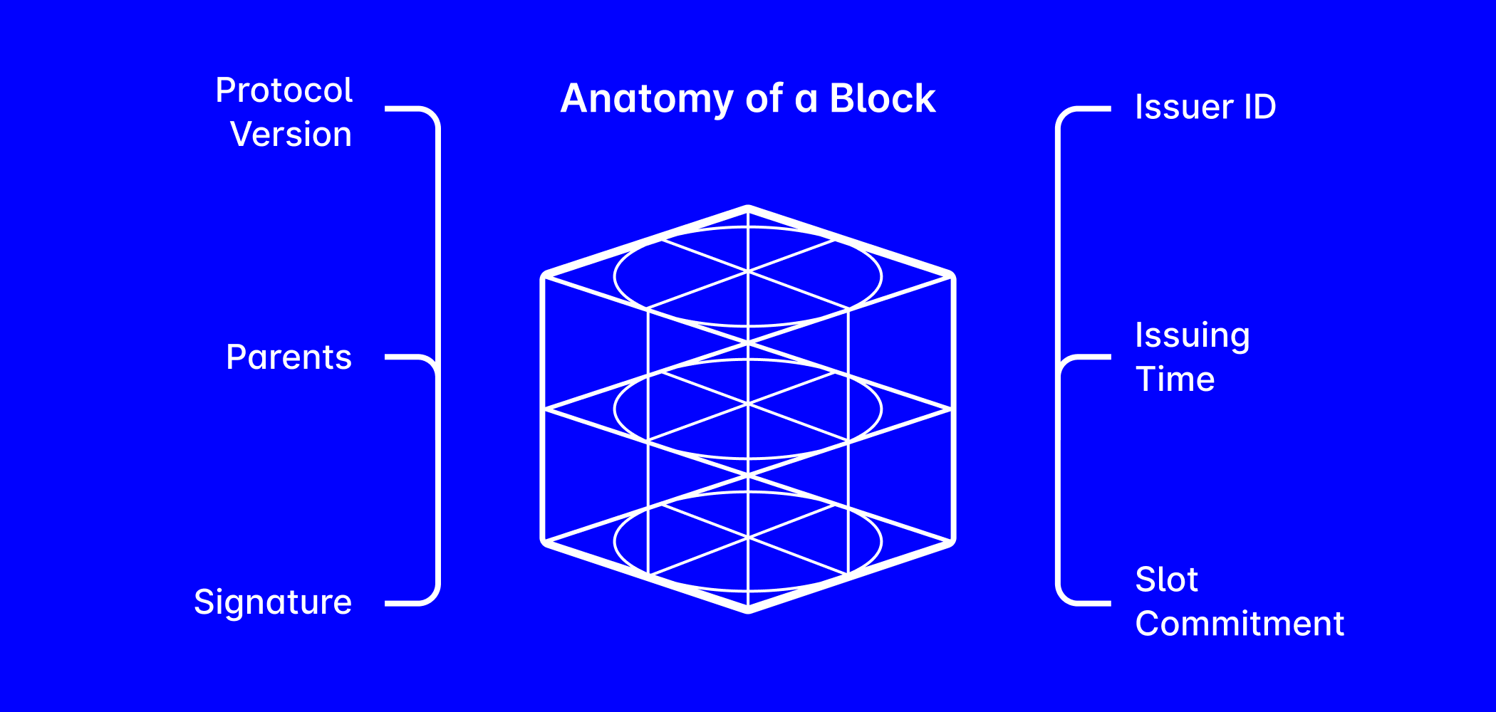 The anatomy of a block